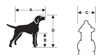 Slik måler du kjæledyret for transportbur